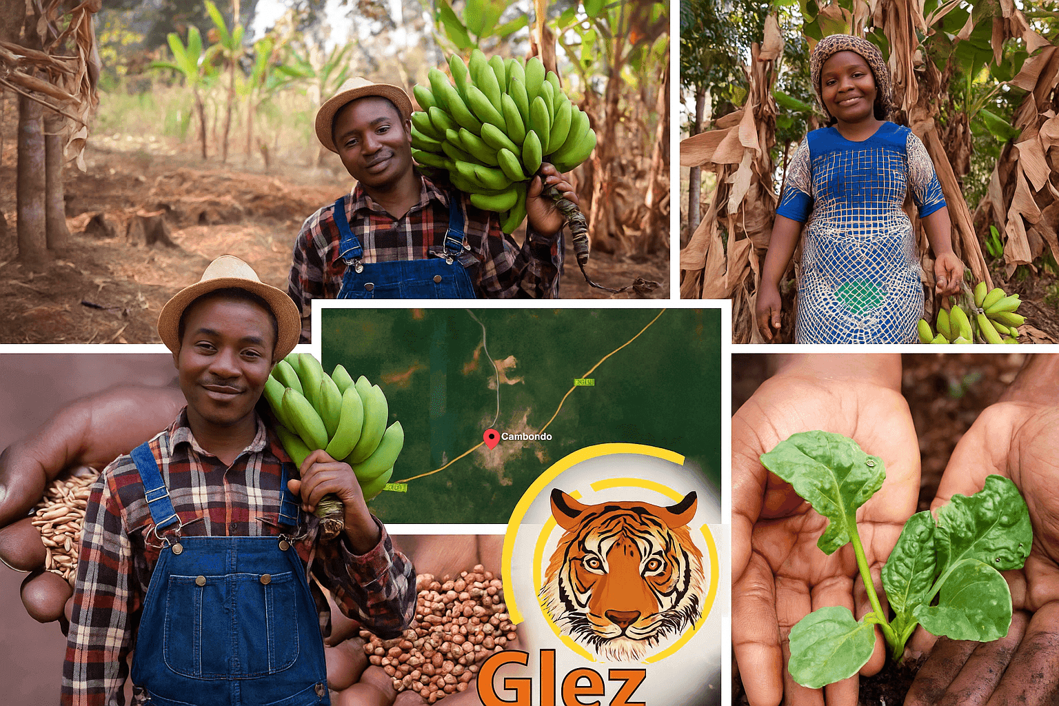 Produção Diversificada 